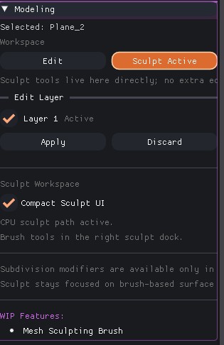 Sculpt Workspace